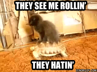 funny-pictures-rolling-cat.gif