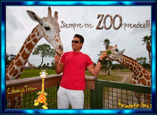  photo ZOOrpresa-CT_zps947cd5c2.gif