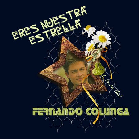 ERESNUESTRAESTRELLA1petit