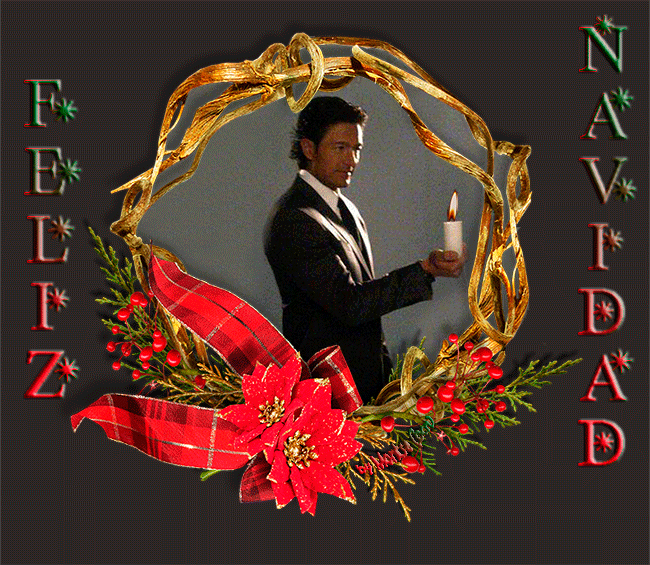  photo 001-nadal2014-copia_zpsqvlglago.gif