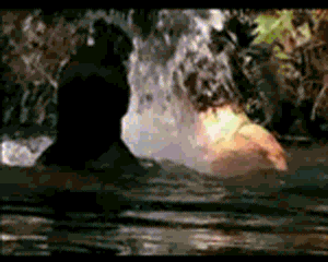 LOS BAÑOS EN LA LAGUNA