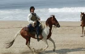  photo acaballo_zpsd98aaabe.jpg