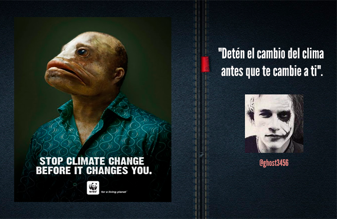 reflexion