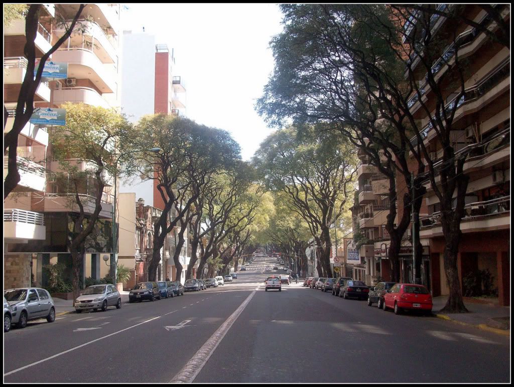 BUENOS AIRES Postales invernales del barrio de Caballito