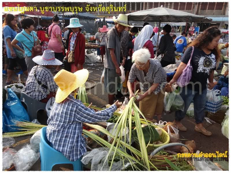 แซนโฎนตา