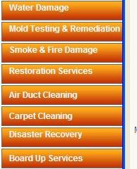 mold removal professionals