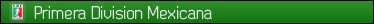 MiniBannerPrimeraDivision.png