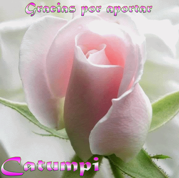  photo Catumpirosa1.gif