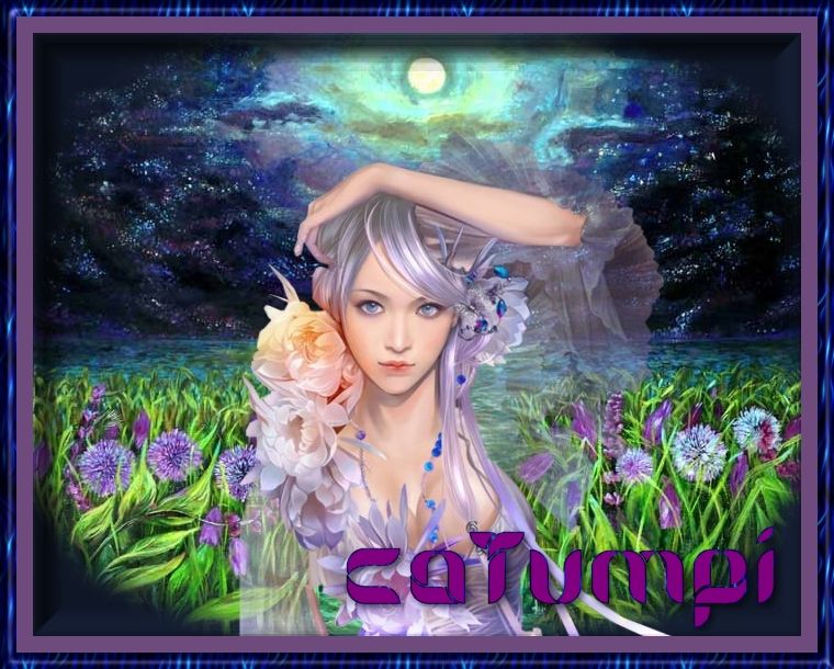Imagen8cat.jpg 