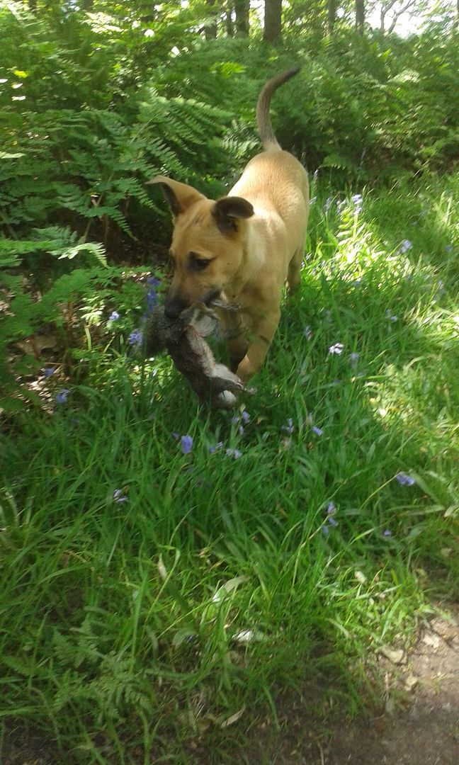 20160603_141149_zpsysv0nu5t.jpg