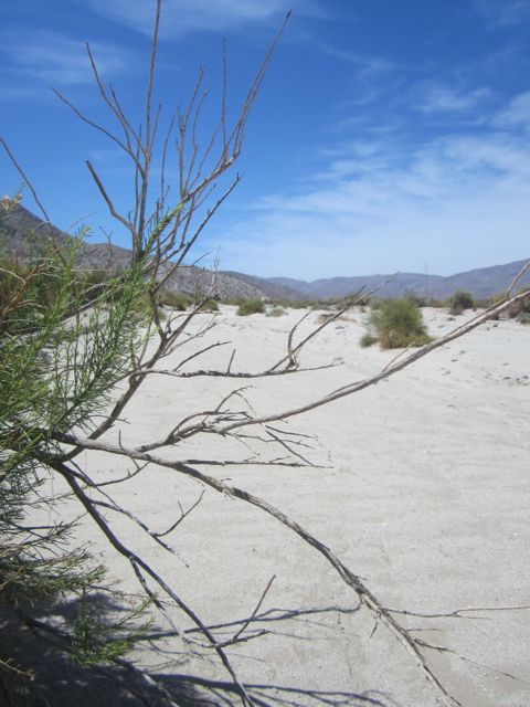 Nowhere photo AnzaBonowhere_zps44563ef0.jpg