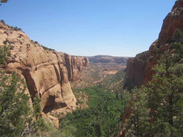 Canyon, Navajo National Monument photo Navajocanyon_zps55fc4e04.jpg