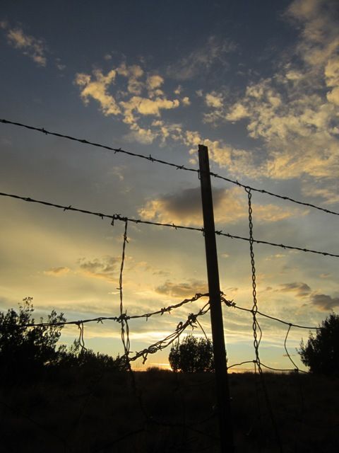 Sunset fence