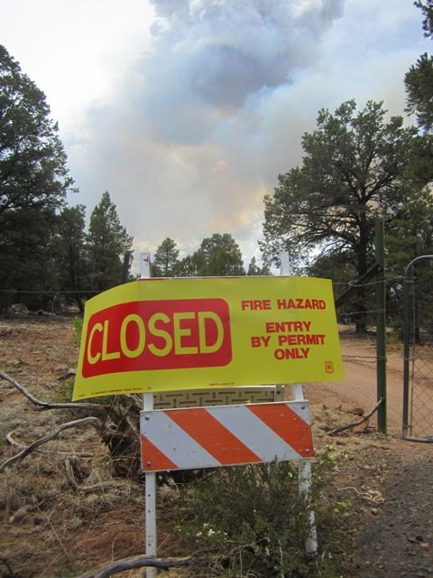 Coconino National Forest