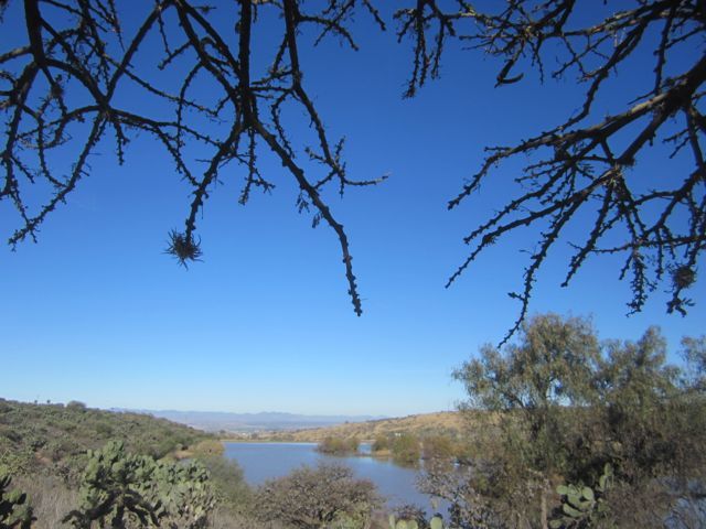 photo Charcooverview_zpsfa7bf033.jpg