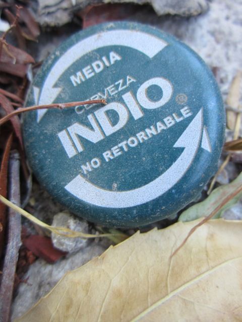 Discarded bottle cap