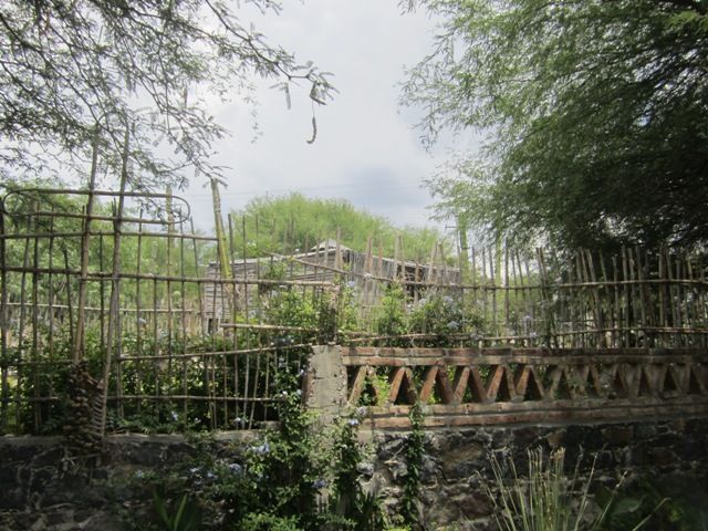 Anado's garden fence