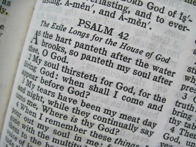 Psalm 42:1-2 Pictures, Images and Photos