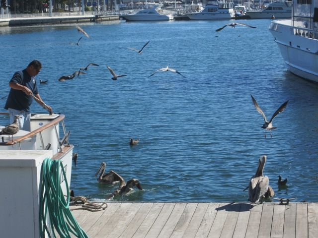 Long Beach