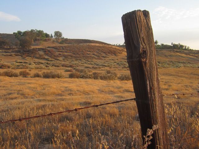 photo SoCalJuly2013270a_zps30a606ec.jpg
