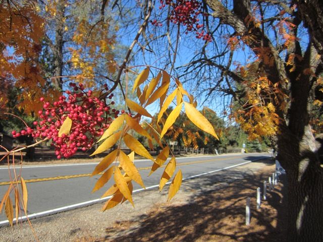 Oak Grove, San Diego County