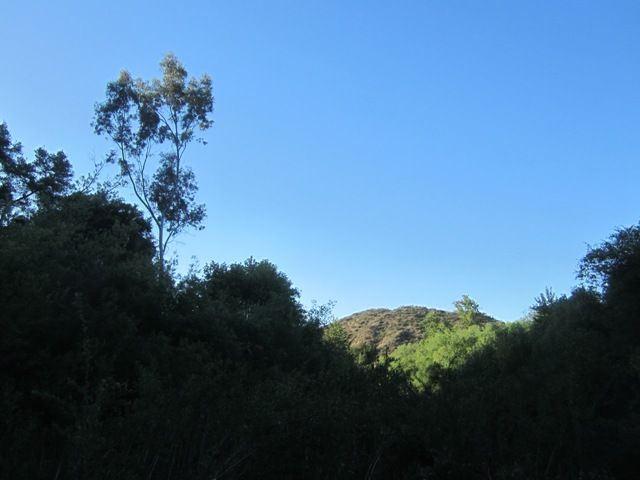 Santa Margarita River Trail photo StaMargaritaApril2013037a_zps569f3b25.jpg
