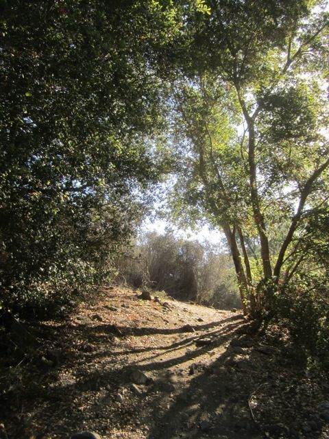 photo WildernessJune2013085a_zpsfbee9457.jpg