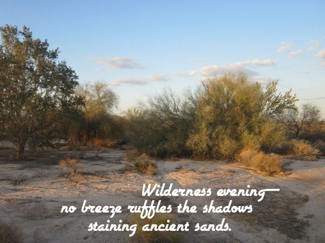 Wilderness evening photo 903bHAIGA2_zps6b2672cf.jpg