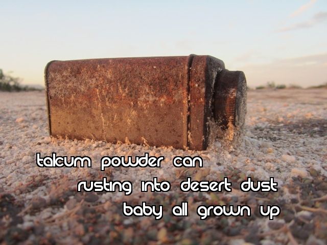 photo HAIGApowdercan_zpsdcb9babf.jpg