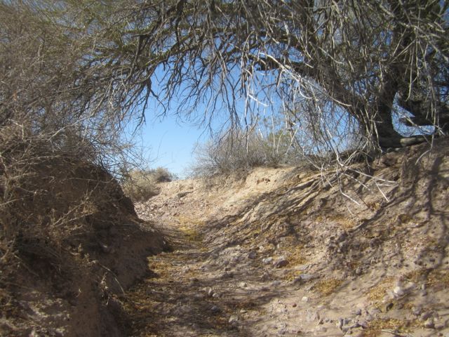 Pathway through Kofa NWR photo Kofapath_zps5036e609.jpg