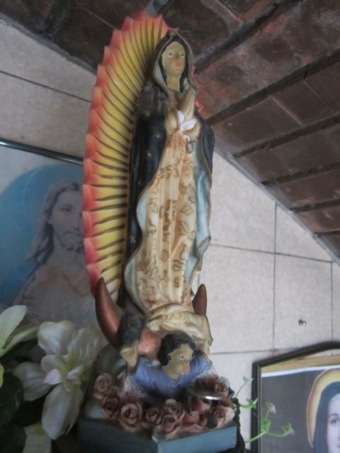 photo OrganPipeAug2013348a_zps0668a14f.jpg