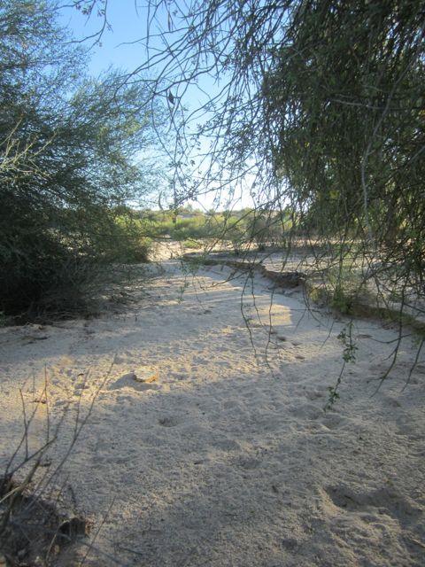 Sandy wash photo Sandywash_zps5fb17390.jpg