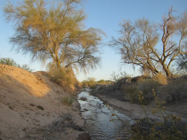 Desert streams photo SonoranApril20131378a_zps84defb6b.jpg