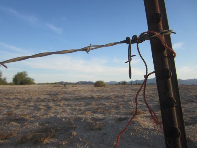 Farmer's field photo SonoranApril20131698a_zps539d302c.jpg