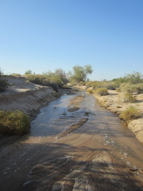 Desert stream photo SonoranApril20132698a_zps86fad2c4.jpg