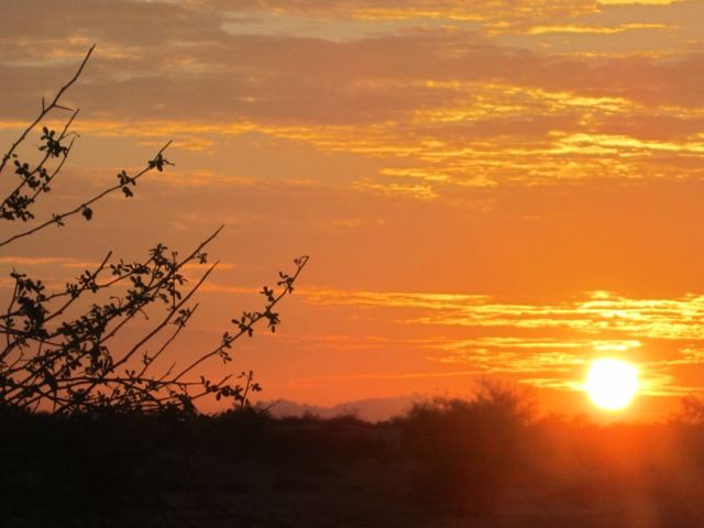 Sizzling sun