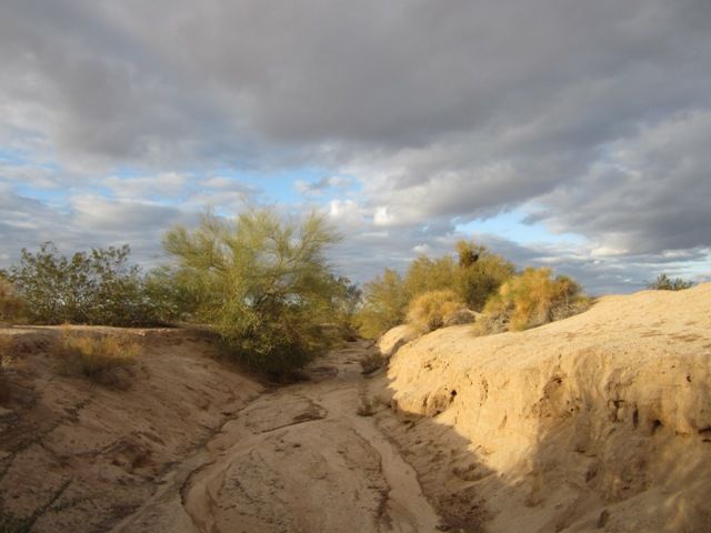The wash photo SonoranDec20123172a_zps24dece78.jpg