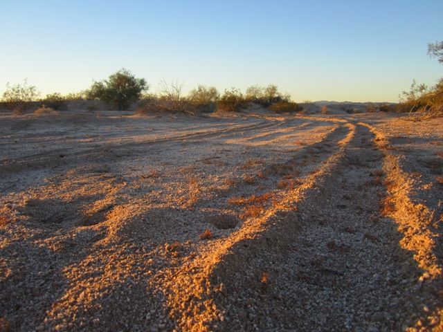 Evening shadows