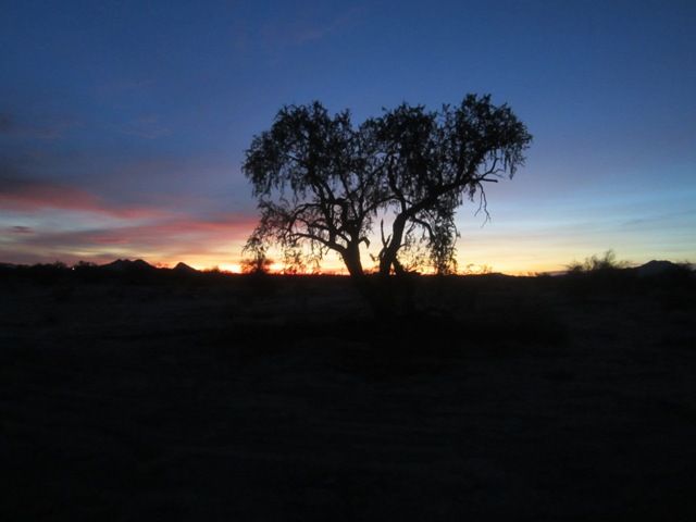 February sunrise photo SonoranFeb2013086a_zps47560a0f.jpg