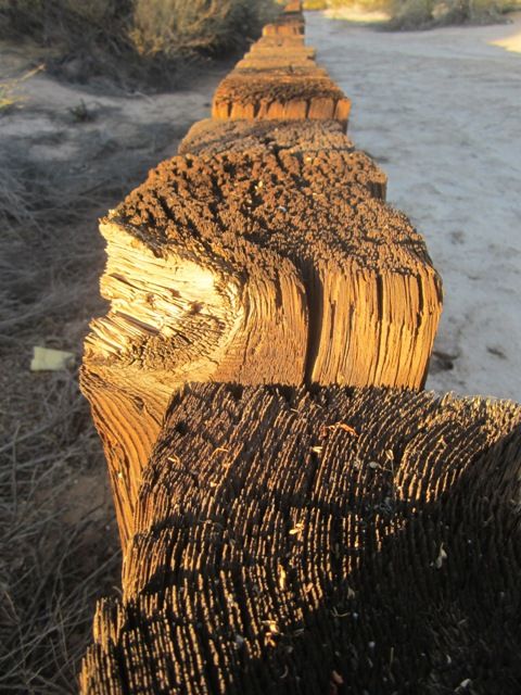 Weathered wood photo SonoranFeb20131163b_zpsf438b6c0.jpg