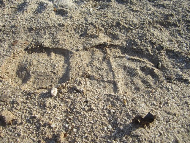Footprint in the sand photo SonoranFeb20131557a_zpsa0b36c22.jpg
