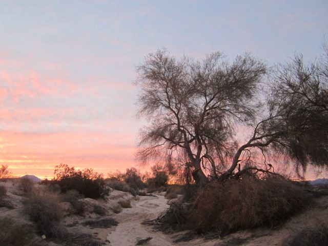 Twilight in the wash photo SonoranJan2013656a_zps21a0a58a.jpg