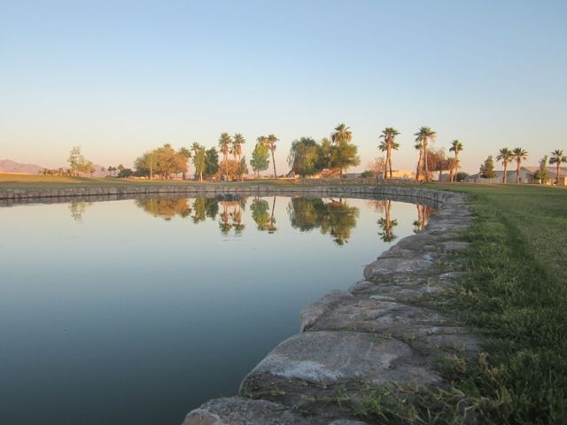 photo SonoranJune20131400a_zpsc683f21e.jpg