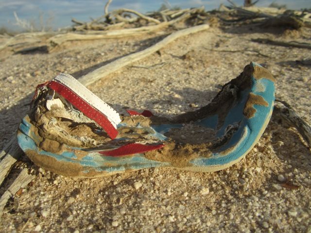 Battered shoe photo SonoranMar20132087a_zps7e9ae01d.jpg
