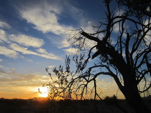 Sonoran sunrise photo SonoranMar2013501a_zps24588c07.jpg