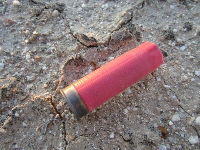 Deadly red