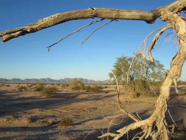 Wilderness way