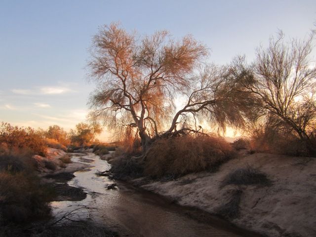 Steams in the desert