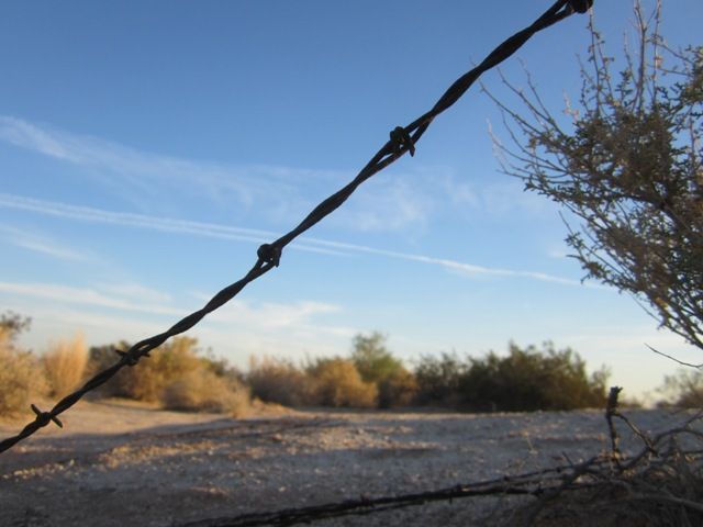 Deadly strand