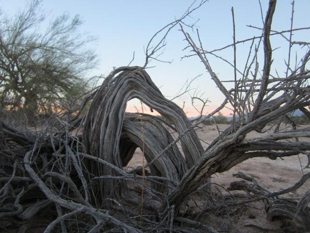 Twisted spirits